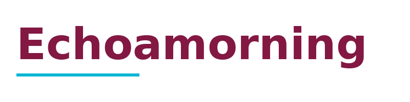 Echoamorning logo